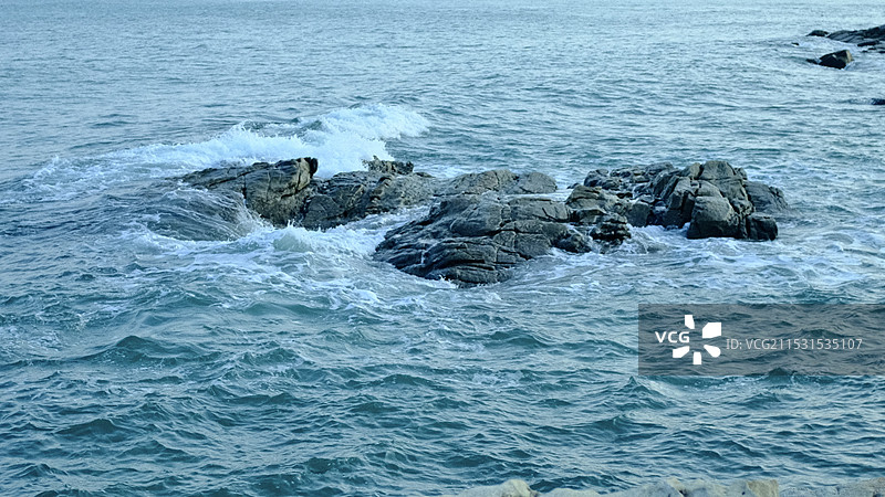 青岛的海图片素材