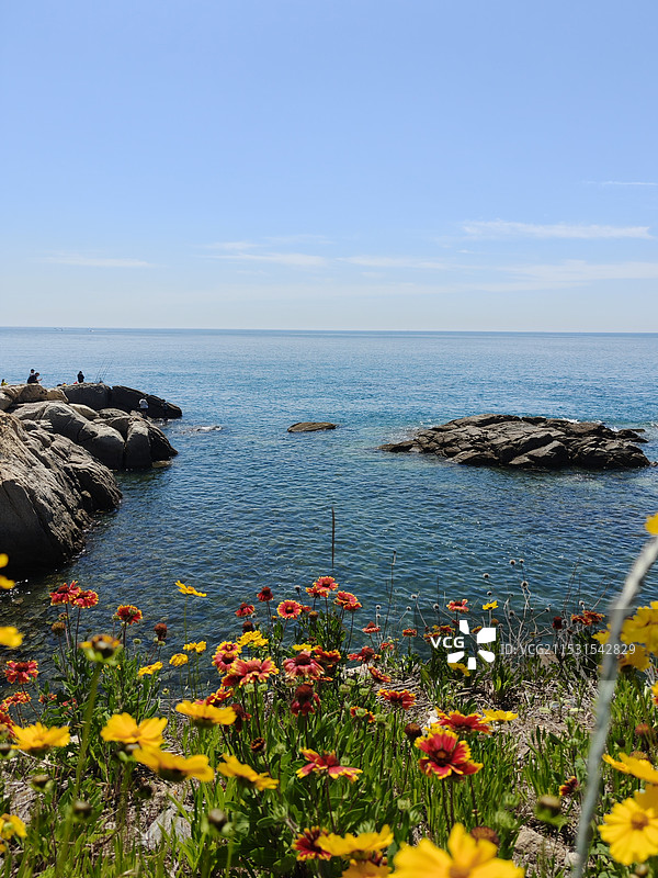 青岛 黄岛 鱼鸣嘴 西海岸 花海洋图片素材