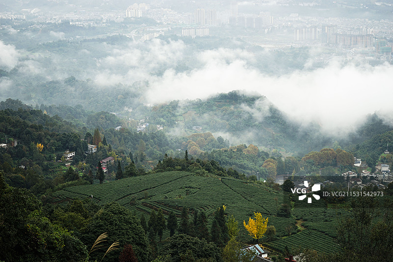 蒙顶山图片素材