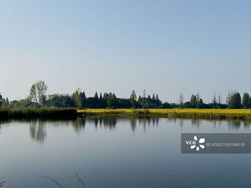 蓝天下的杭州五丰村秋天田野风景池塘水树稻田图片素材