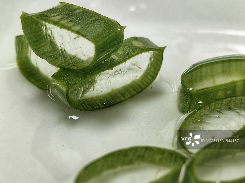 芦荟植物图片素材