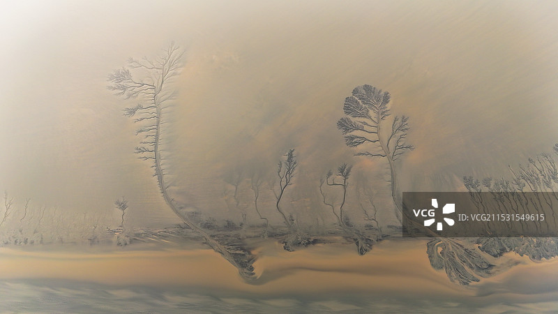 海宁安澜古塔，退潮后的潮汐树图片素材