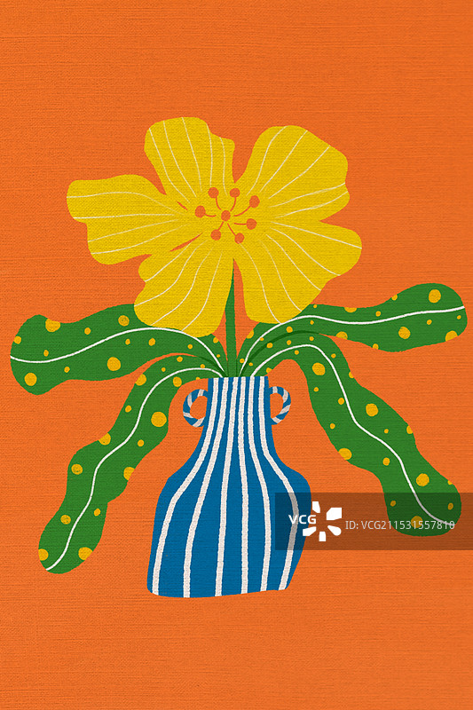 橙色背景装在蓝色条纹花瓶里的小黄花图片素材