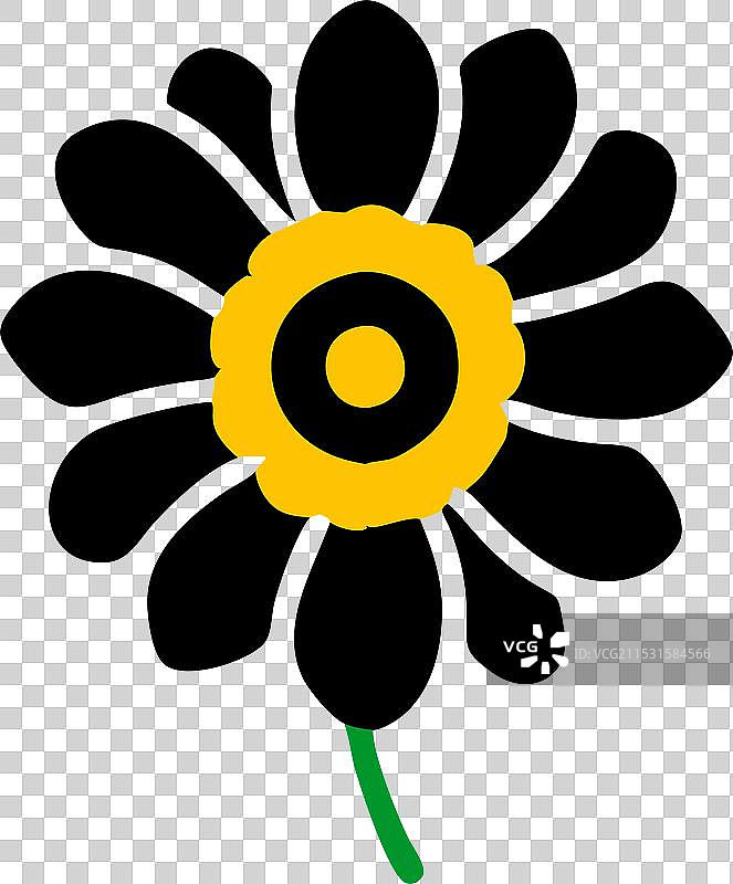 孤立在白色背景上的向日葵图片素材