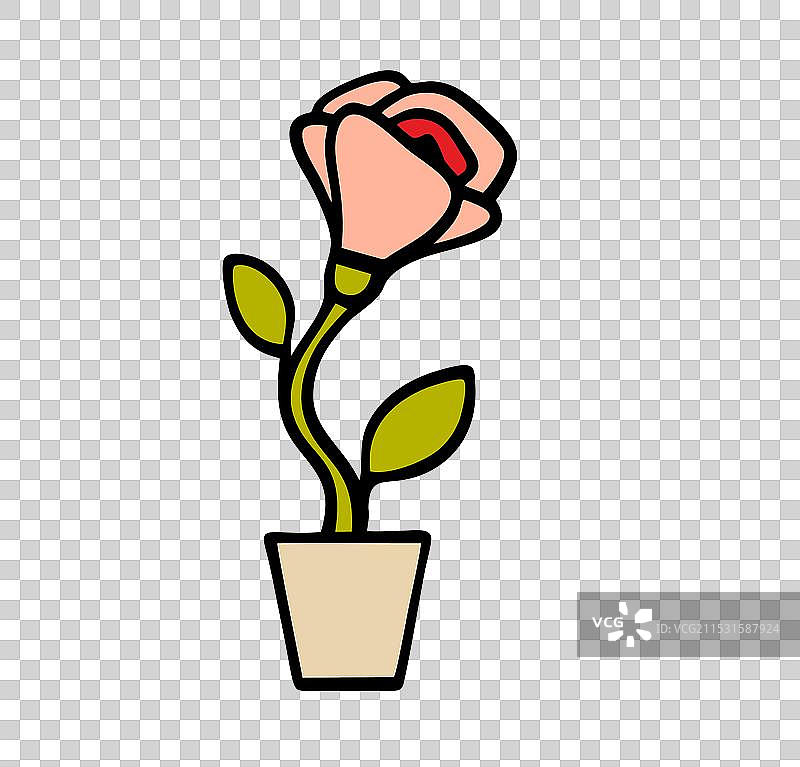 美丽的粉色花朵在花盆中生长图片素材