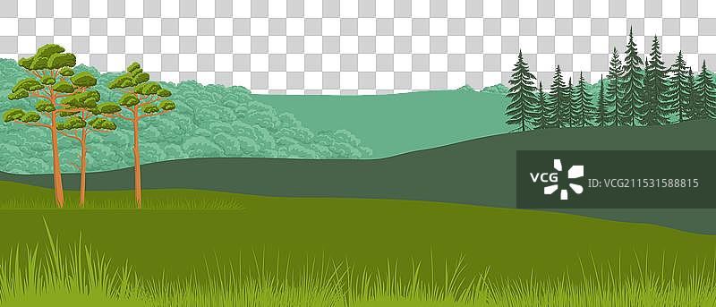 画有冷杉树的风景图片素材