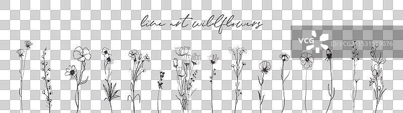 手绘线条艺术涂鸦野花图片素材