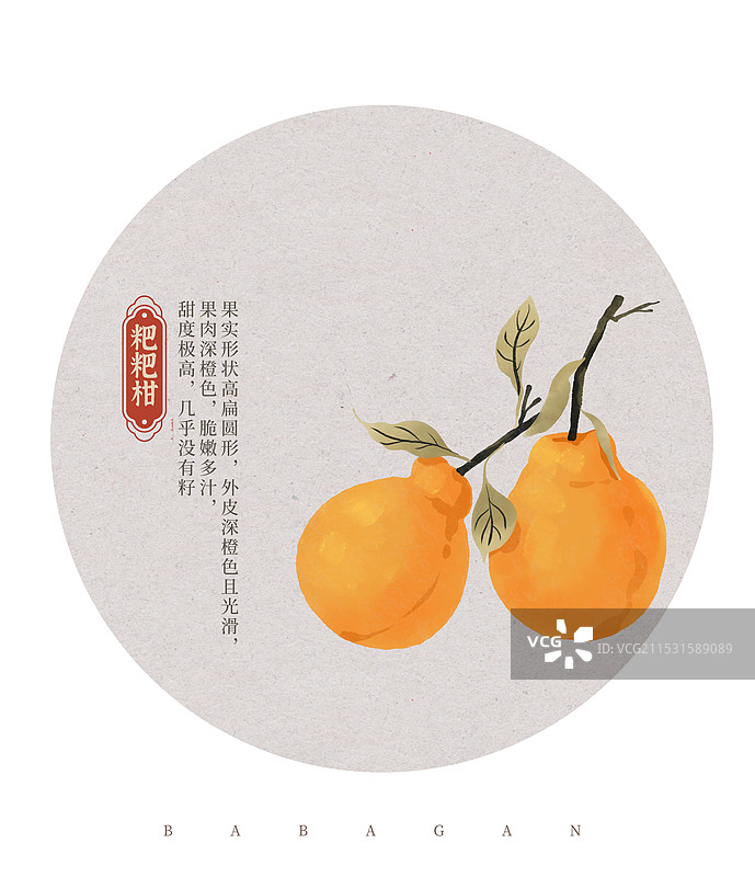 秋天橘子节气霜降秋分水彩插画图片素材