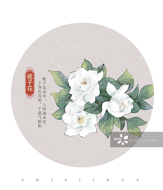 栀子花国潮国风水彩插画图片素材