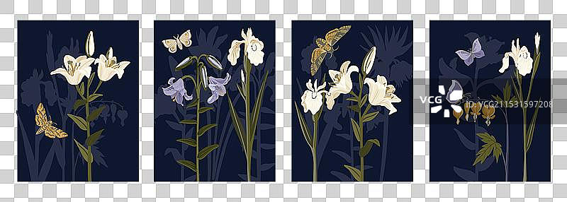 绘制花园里的花朵和蝴蝶图片素材