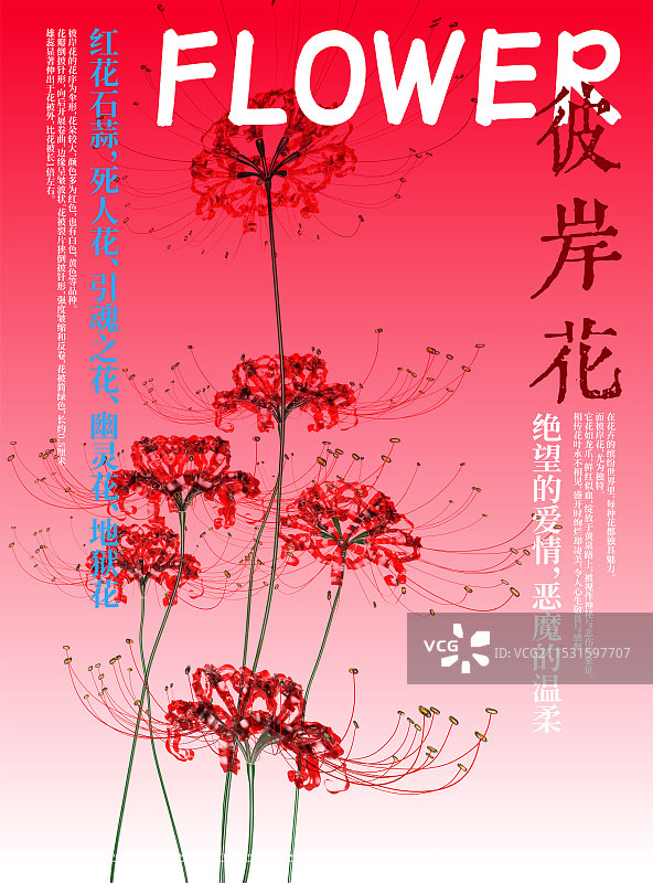 3D花卉红花石蒜彼岸花设计海报图片素材