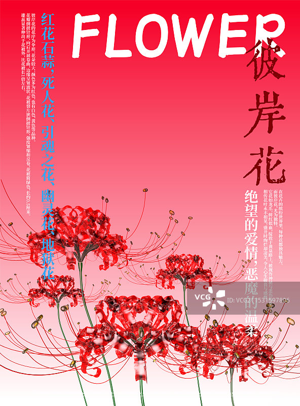 3D花卉红花石蒜彼岸花设计海报图片素材