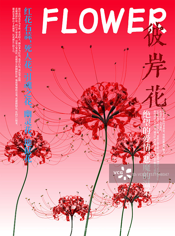 3D花卉红花石蒜彼岸花设计海报图片素材