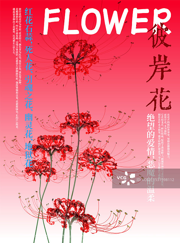 3D花卉红花石蒜彼岸花设计海报图片素材