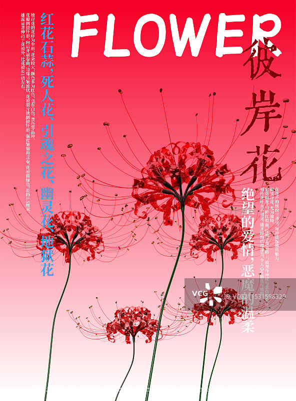 3D花卉红花石蒜彼岸花设计海报图片素材