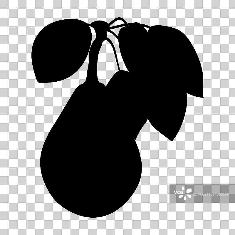 带有果实和叶子轮廓的梨树枝图片素材