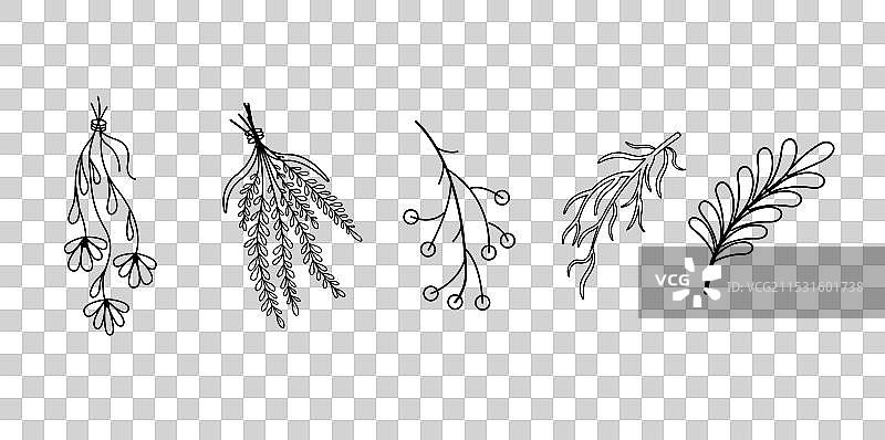 干草药、干花、天然药物图片素材