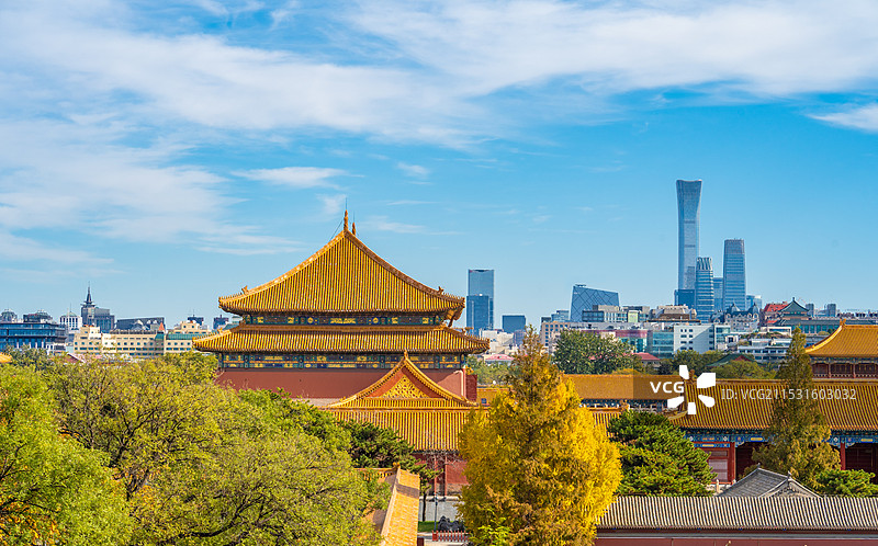 俯瞰秋天北京中轴线上的故宫太和殿宫殿和金黄的银杏树秋景风光图片素材