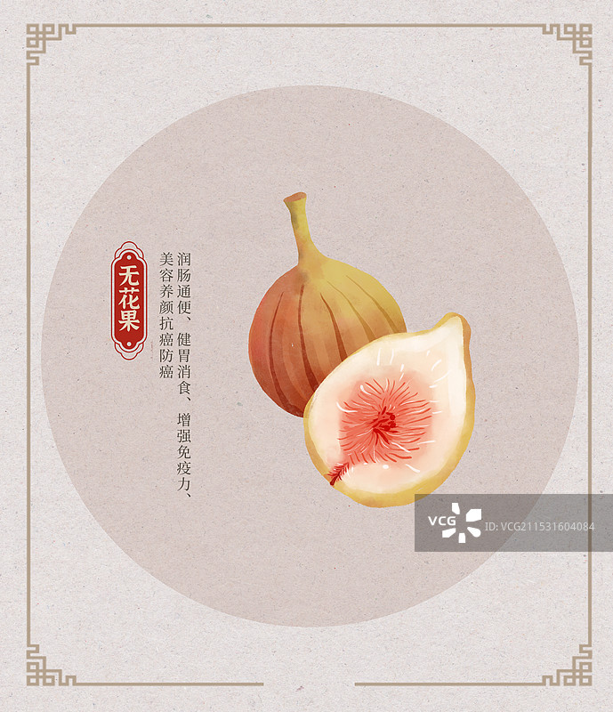无花果水彩插画图片素材