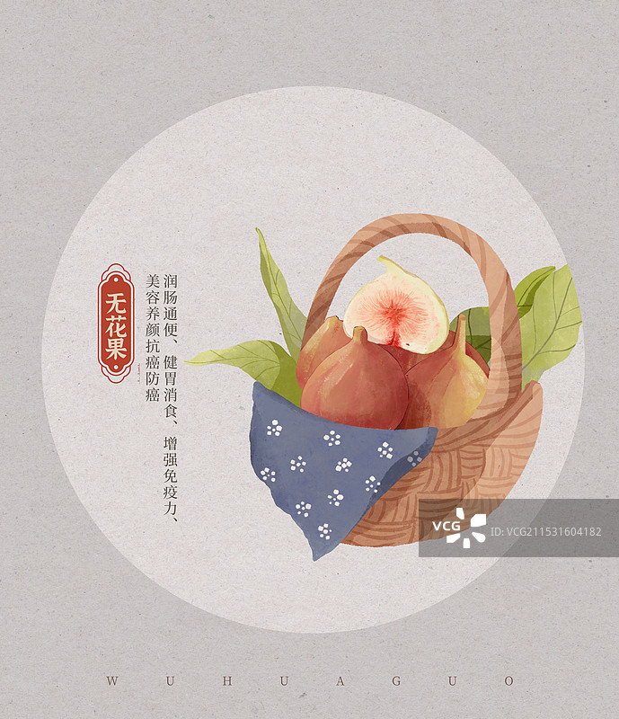 无花果水彩插画图片素材