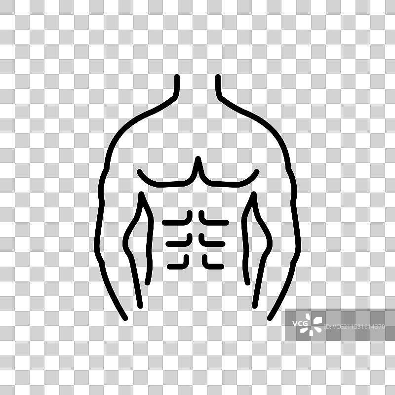 男性躯干图标集，男性胸部身体符号图片素材