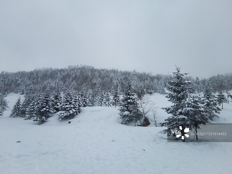 白雪皑皑覆盖大地图片素材