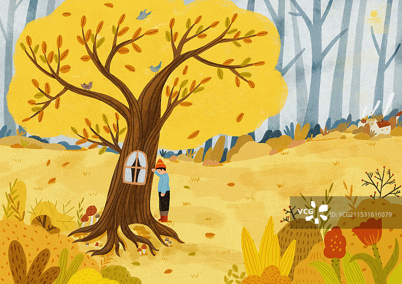 秋天的森林风光图片素材