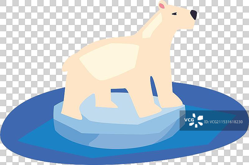 因冰层融化而陷入困境的北极熊图片素材