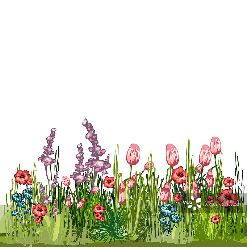 瓢虫和蝴蝶在绿色自然田野中图片素材