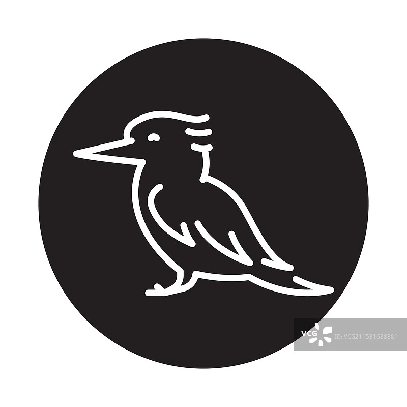 黑线动物的笑翠鸟图片素材