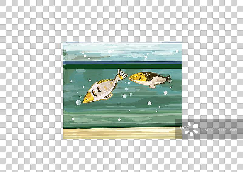 鱼缸里的金鱼图片素材