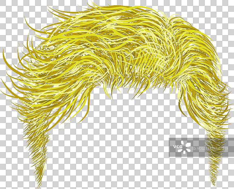 一个酷炫的男性黄色发型图片素材