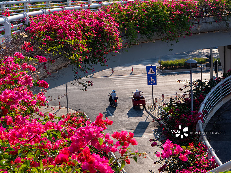 南宁良庆大桥-邕江景色图片素材