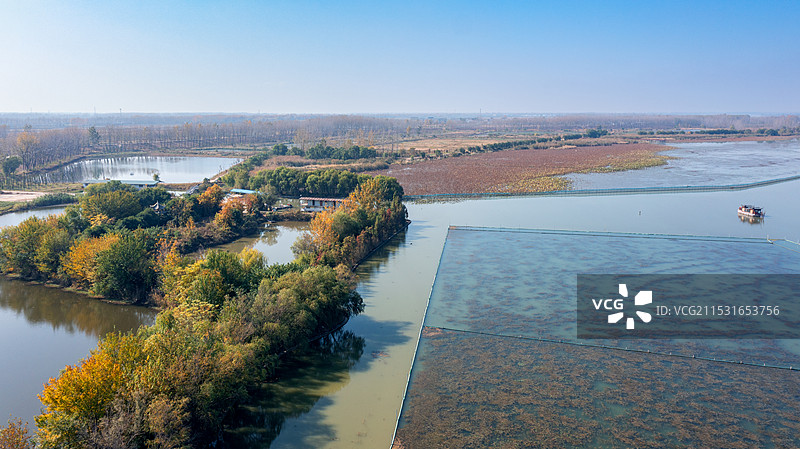 安徽五河沱湖湿地图片素材