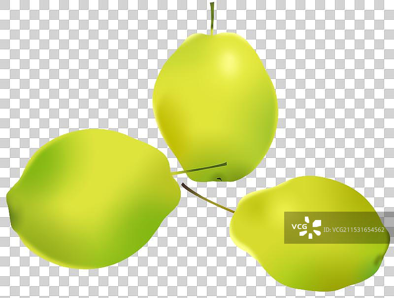 健康食品食物维生素水分梨子香梨雪梨新疆特产元素素材卡通插画图片素材