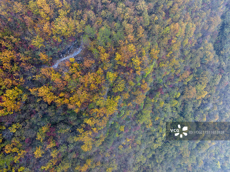 襄阳九路寨风景区秋天景色观景台森林自然风光图片素材