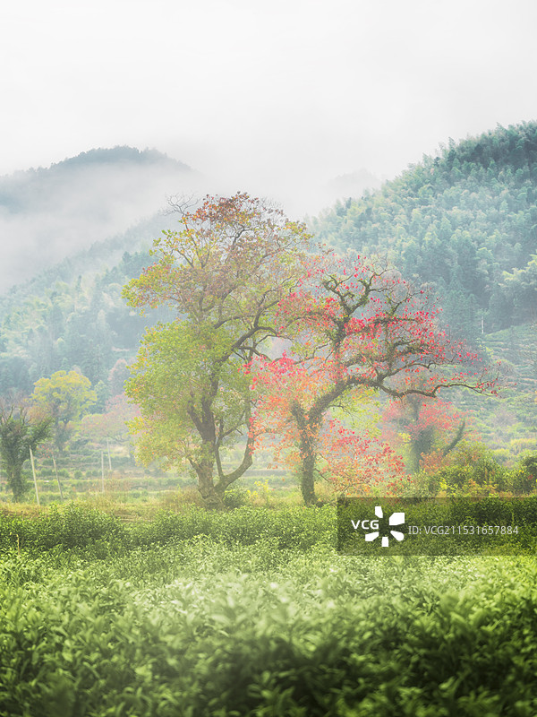 水墨徽州图片素材