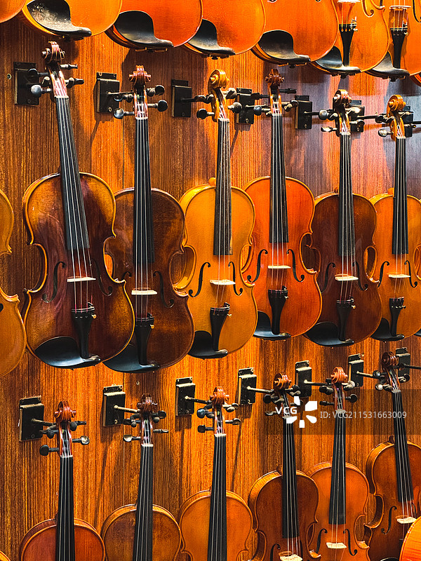 乐器商店内挂在墙上的小提琴特写镜头图片素材