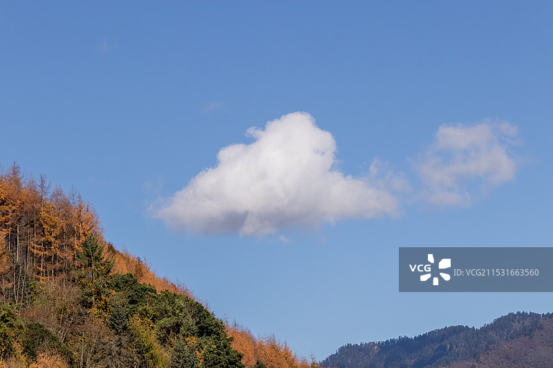 川西高原晴天天气，晴朗蓝天背景下的筋斗云，一朵漂亮的白云云彩风景图片素材