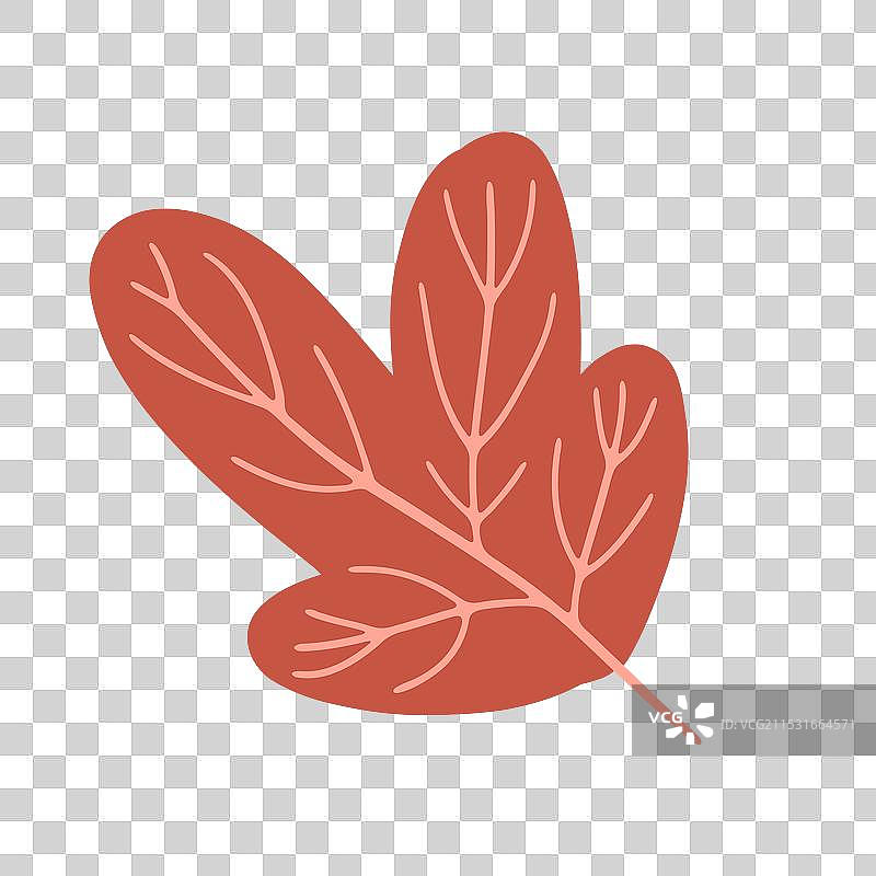 红色秋叶，细节精致完美图片素材