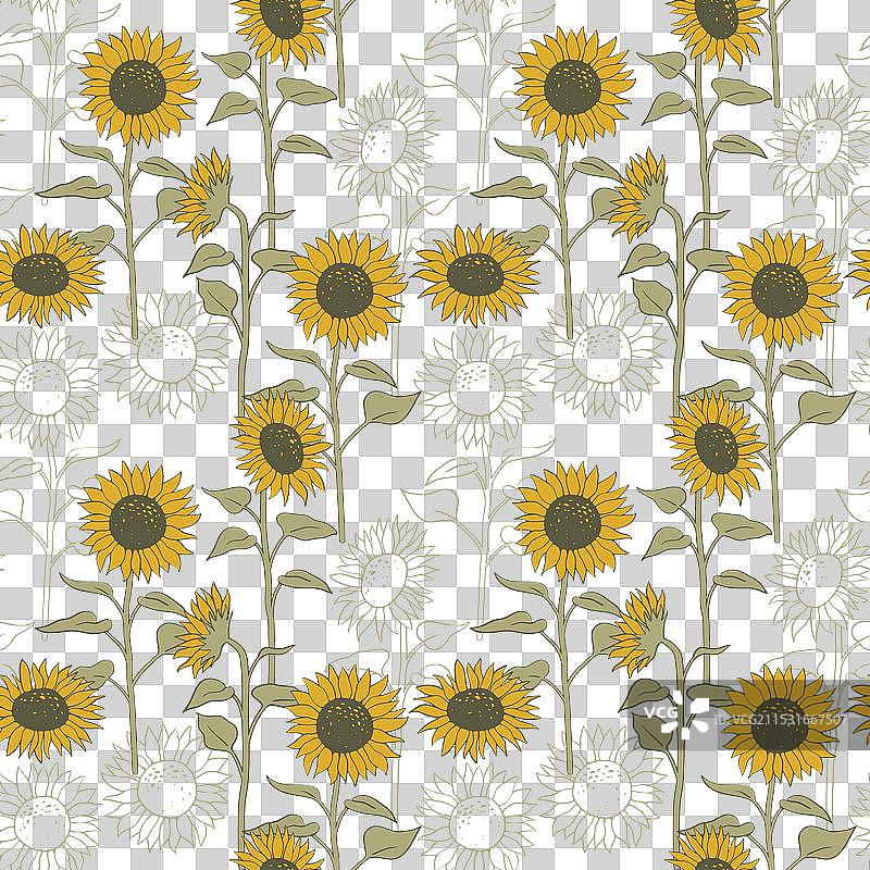 向日葵田野图案背景图片素材