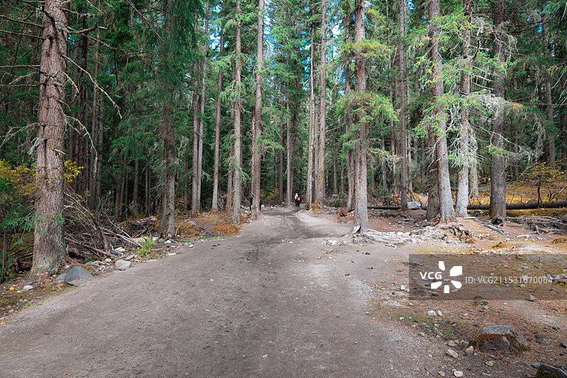四姑娘山长坪沟秋季风光图片素材
