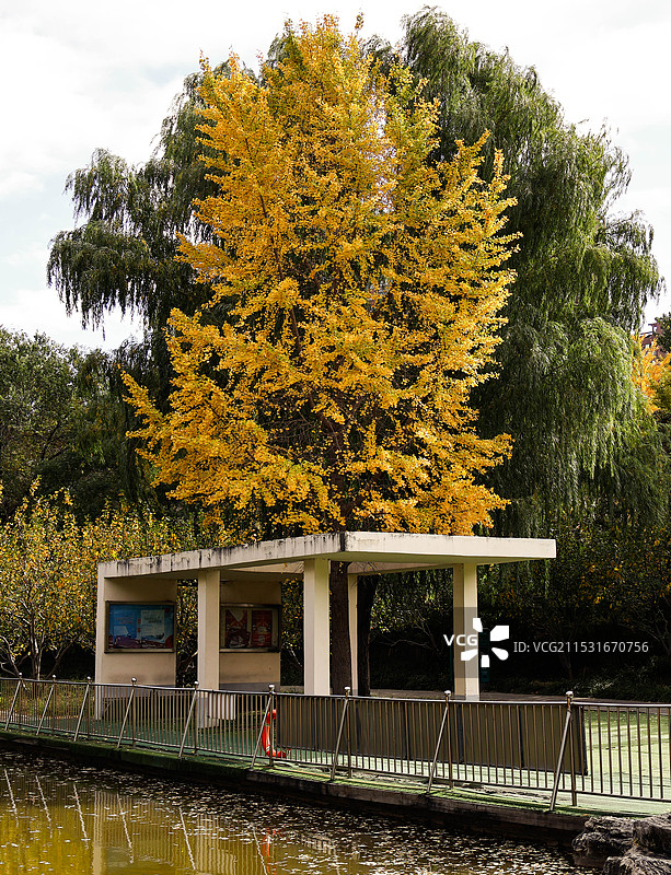 北京庆丰公园图片素材