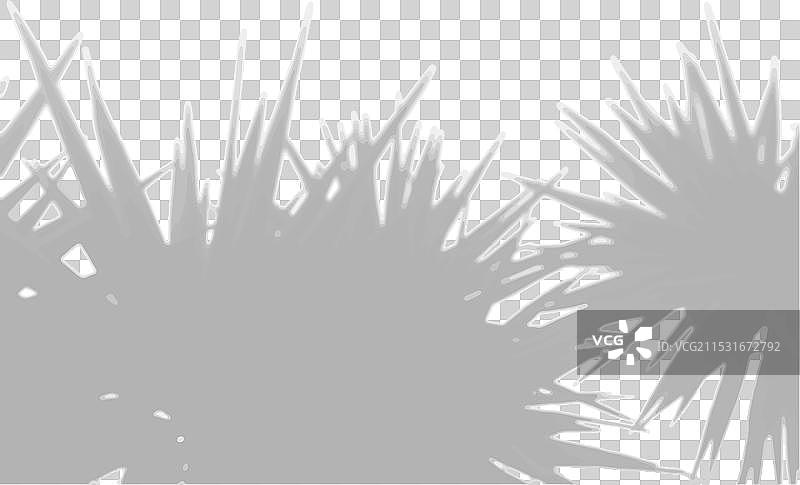 自然光投射出棕榈叶的阴影图片素材