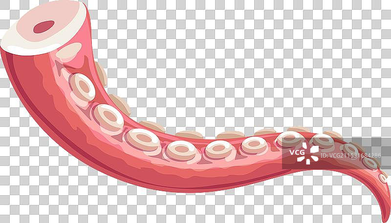 章鱼触手卡通海鲜寿司食品图片素材
