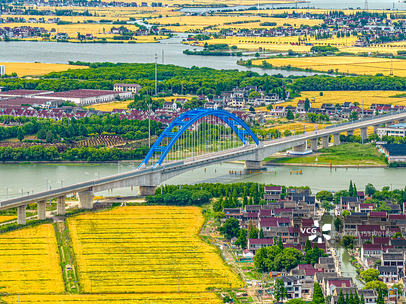 高速铁路穿越金色田野河流 沪苏湖高铁苏州吴江段太浦河桥 黎里镇 联通江浙沪 太湖平原鱼米之乡图片素材