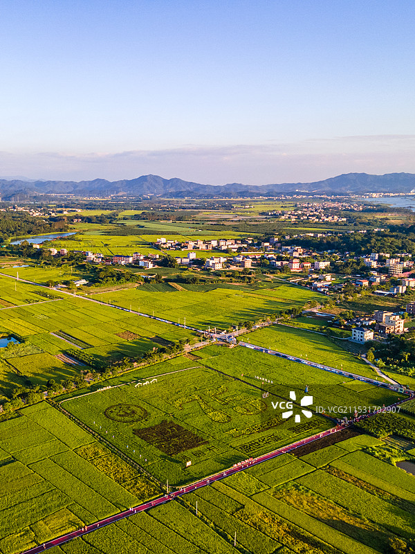 航拍广东惠州墨园村乡村振兴秋季稻田风光图片素材