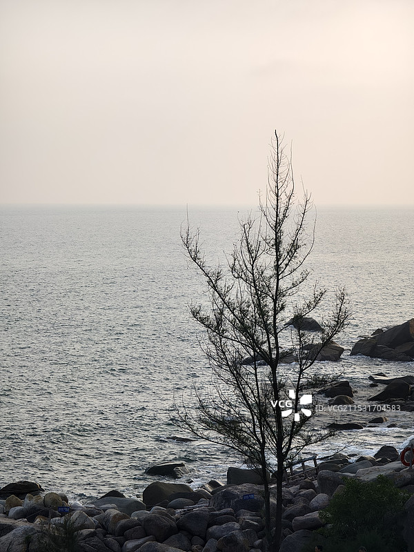海边，海龟湾图片素材