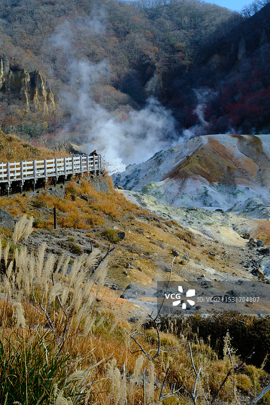 日本登别地狱谷温泉口秋景芦苇栈道白烟图片素材