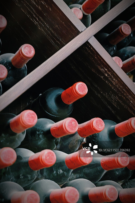 王朝御苑酒堡图片素材